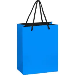 Omega Mini Paper Gift Bag Light Blue